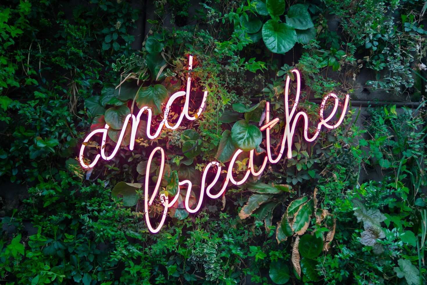 Five Ways Guided Breathing Transforms Your Day