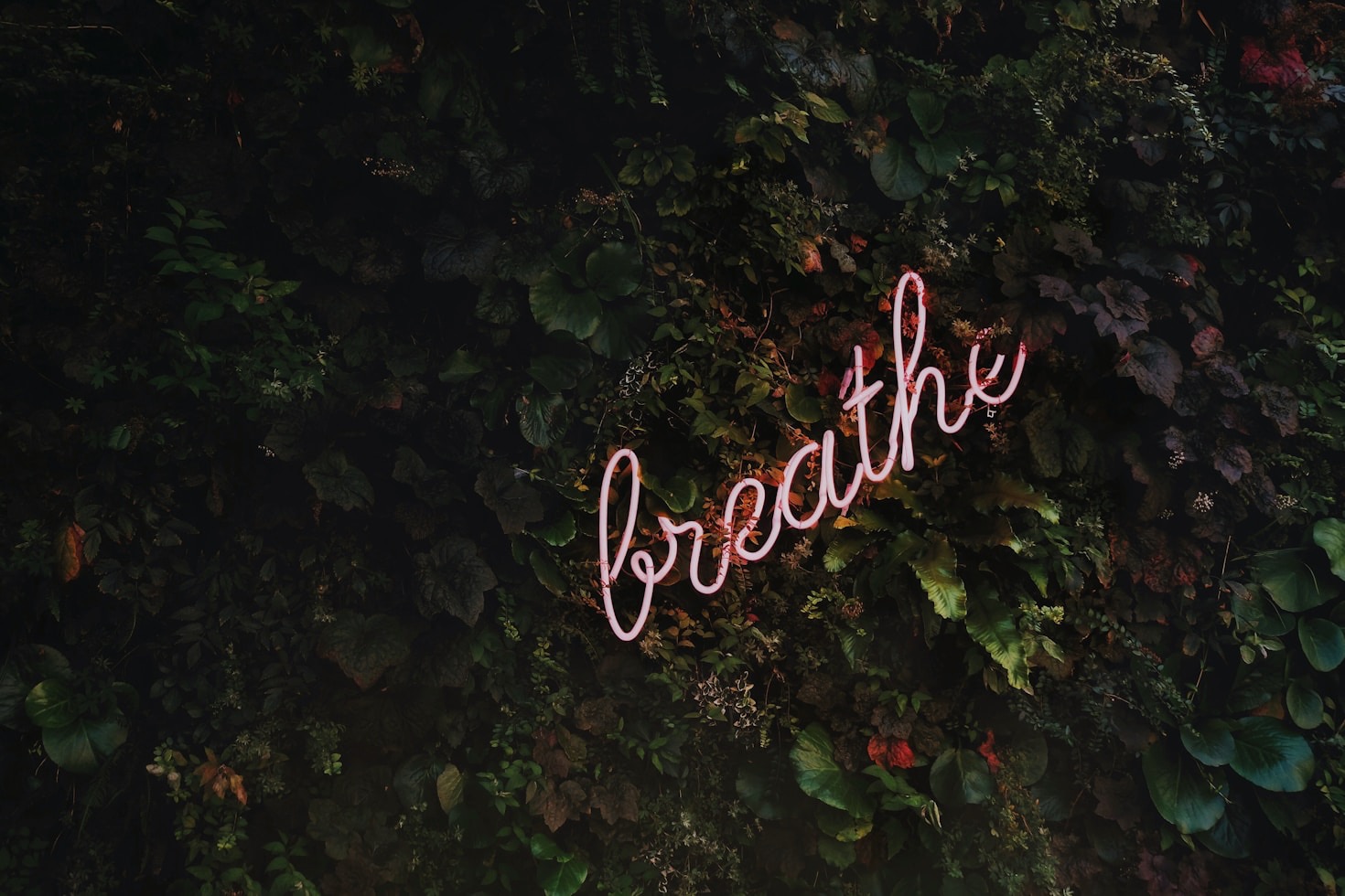 Breathing Exercises to Improve Your Mental Health